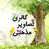 گالری تصاویر مذهبی