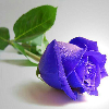 نکته های ناب