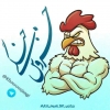 خروس جنگی