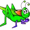 جیرجیرک