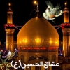 عشاق الحسین