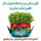 امام زمان(عج)