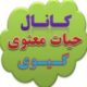 حیات معنوی ـ گیوی