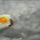 موج مثبت