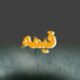 طنز.فیلم.اهنگ.همه چی از همه جا