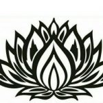 شرکت لوتوس آز