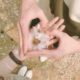 عاشقانه