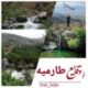 ??وقایع طارمیه??