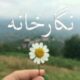 نگارخانه