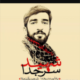 شهید حججی