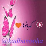 کَِدَِبَِاَِنَِـَِـَِـَِـَِوَِهَِاَِ ???