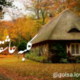 ڪلــ?ـبـــہ عـــآشـ?ــقـــانـــہ
