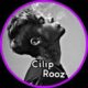 ciliip_rooz