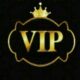 فروشگاه VIP