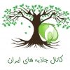 جاذبه های ایران - کانال تلگرام