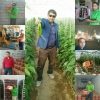 کشاورزان چهارفصل - کانال تلگرام