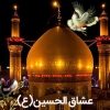 عشاق الحسین - کانال تلگرام