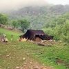 ندای اقوام و عشایر ایران - کانال تلگرام