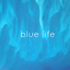 blue life - کانال تلگرام