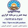 بیمه عمر ایران - کانال تلگرام