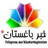 خبری خبر باغستان - کانال تلگرام
