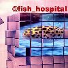 Https://t.me/fish_hospital