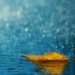 باران صداقت - کانال تلگرام