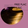 موزیک و اهنگ ایرانی و خارجی با کیفیت FLAC و رایگان